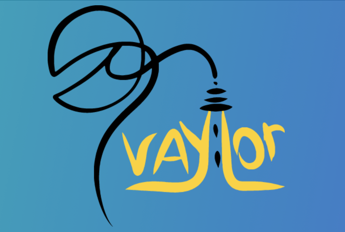 Vaylor charities